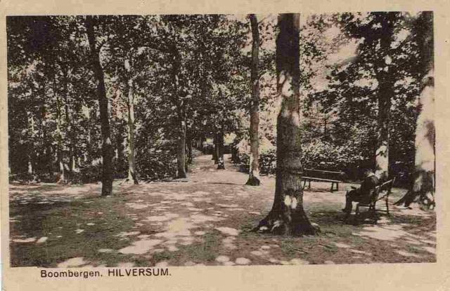 Boombergen Hilversu…