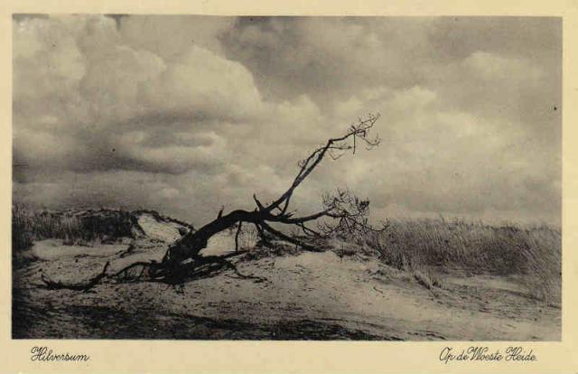Heide 1935