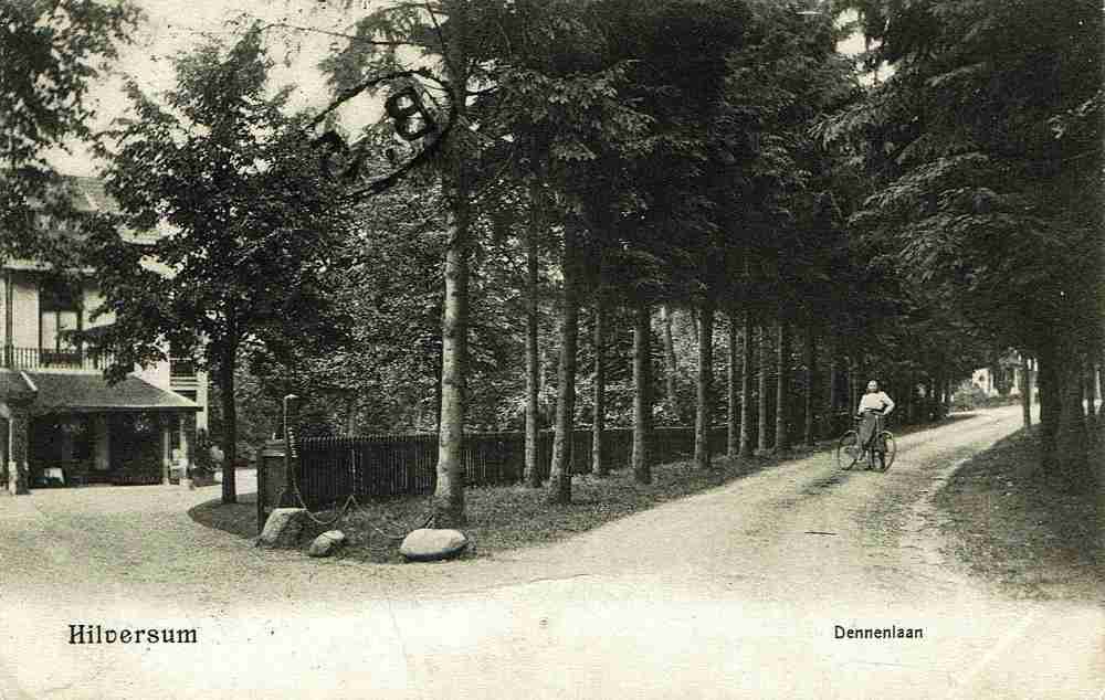 Dennenlaan+nr+2+1905+Blommesteijn+nr+43+Villa+Carolina+architect+J.P.H.+de+Man