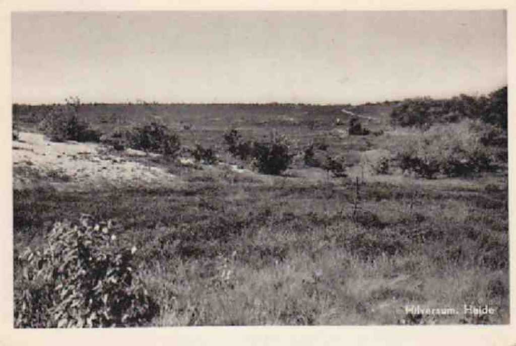Hilversum+Heide+1953+Hema